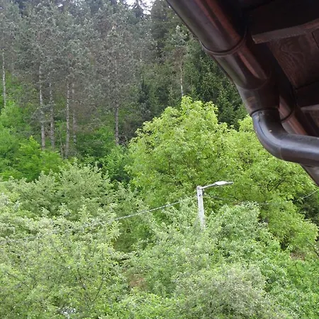 招待所 Virmal 福查