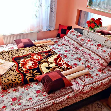 Virmal 招待所 福查